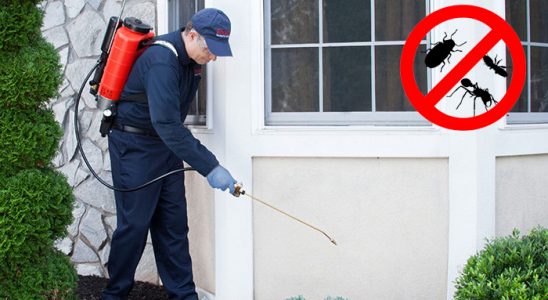 Gebze Böcek İlaçlama böcek ilaçlama ve haşere kontrolü — ilaclama-tr.com